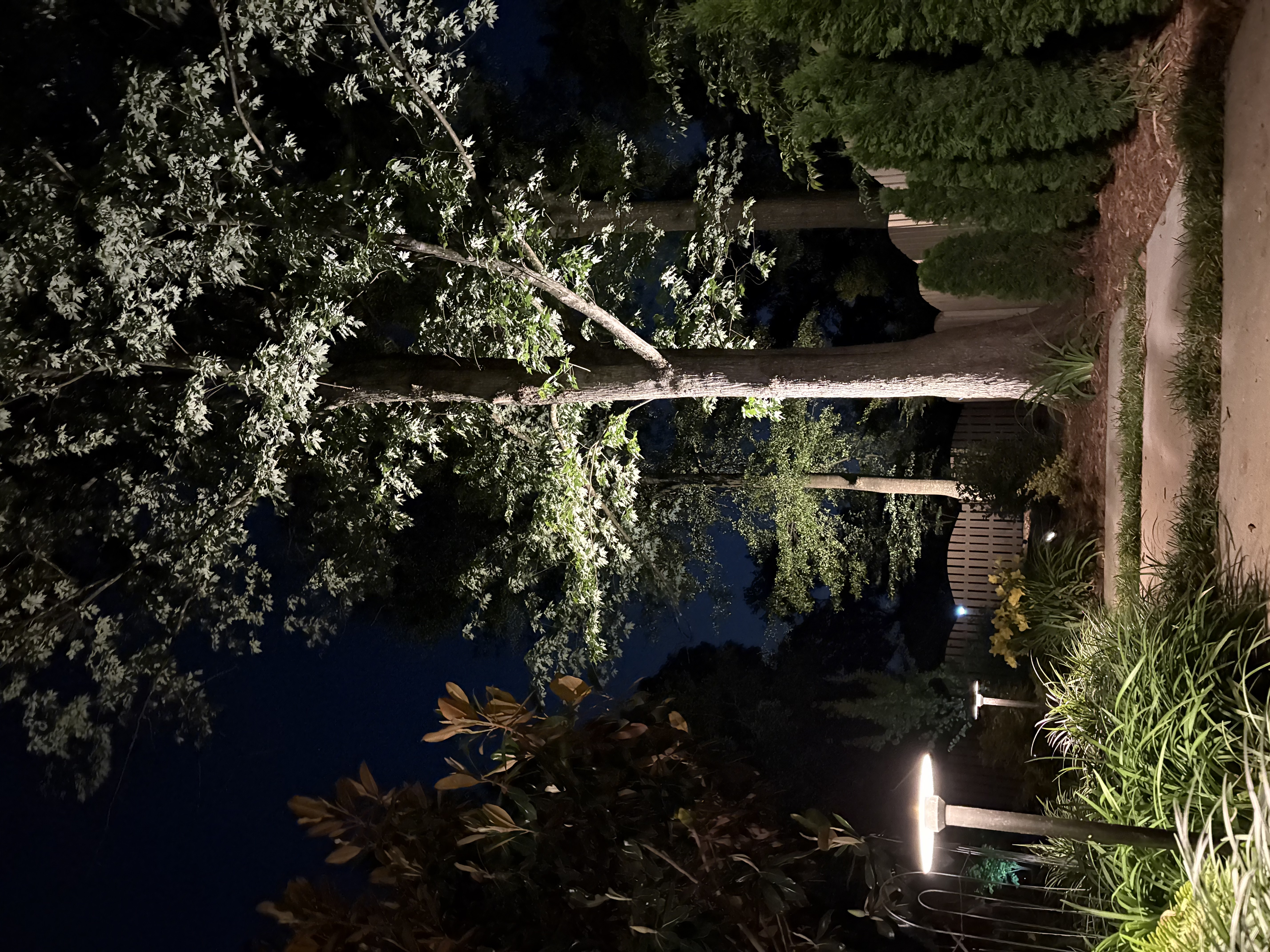 Path lighting