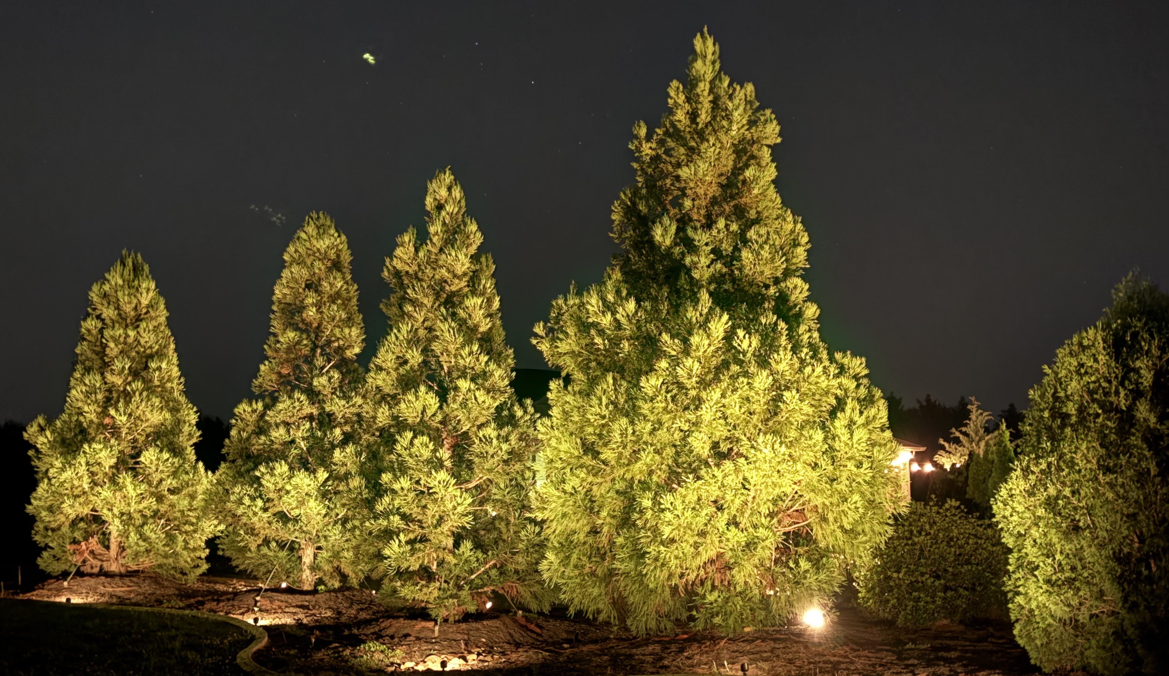 Tree lighting