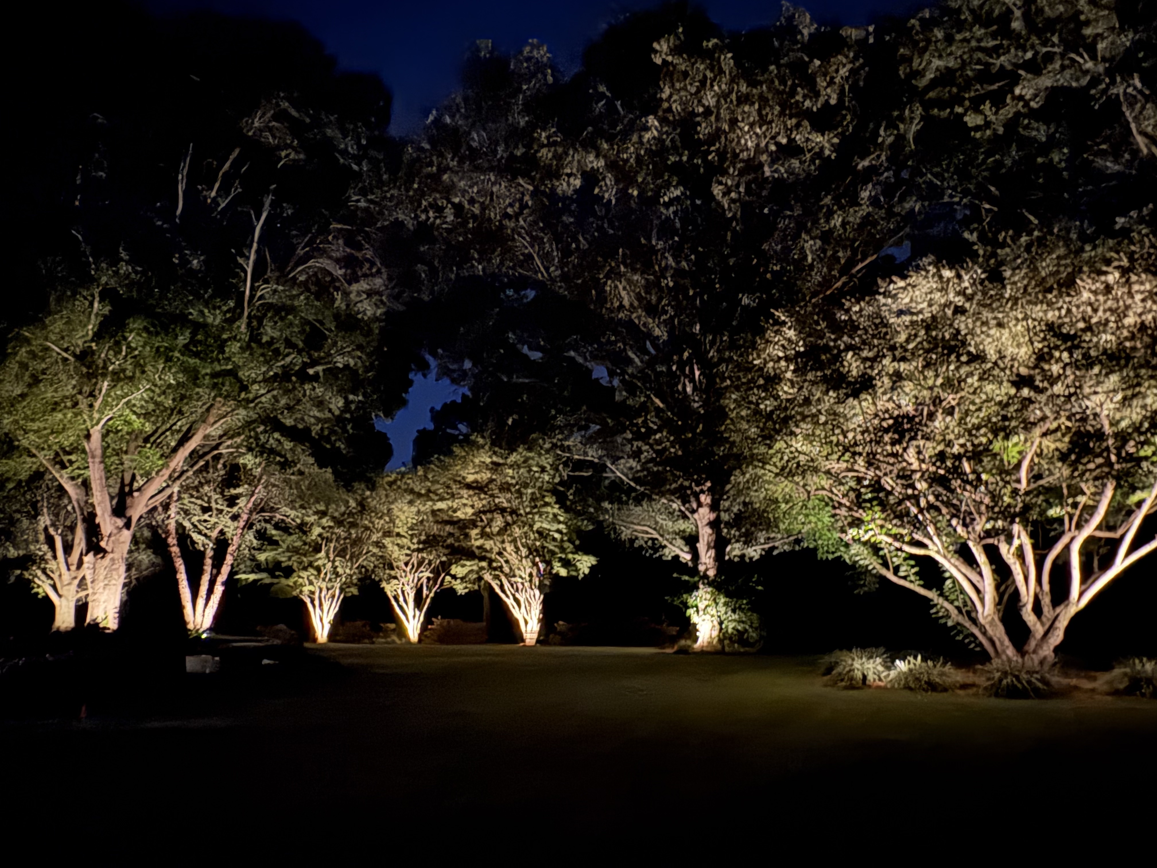 Luminosity Outdoor Lighting install