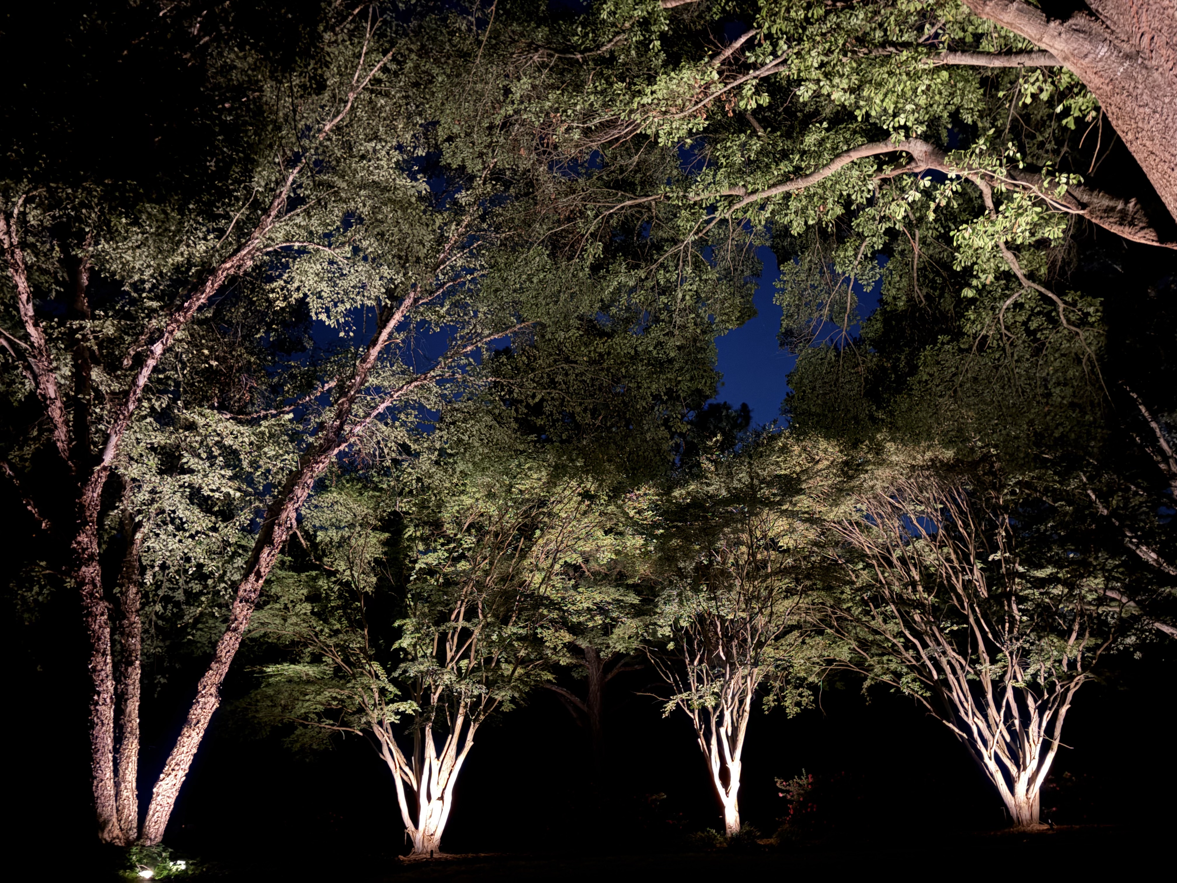 Luminosity Outdoor Lighting install